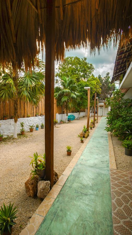 Hotel El Manglar 巴卡拉尔 外观 照片